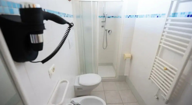 Двухместный номер Standard Hotel Petite Fleur
