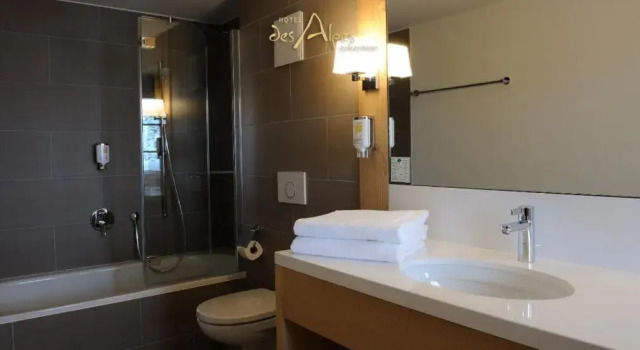 Номер Standard Hotel des Alpes Superieur