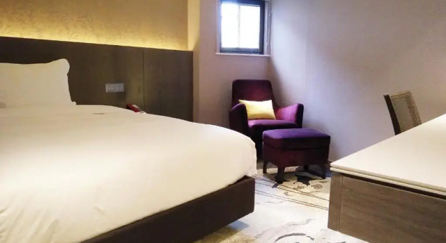 Одноместный номер Standard Brother Hotel
