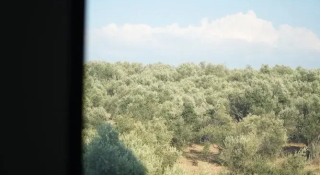 Yeşil Ege Otel