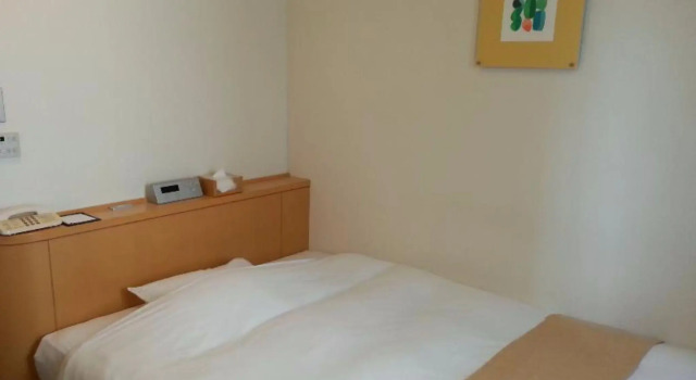 Двухместный номер Standard Nest Hotel Kumamoto