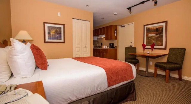 Студия Pemberton Valley Lodge