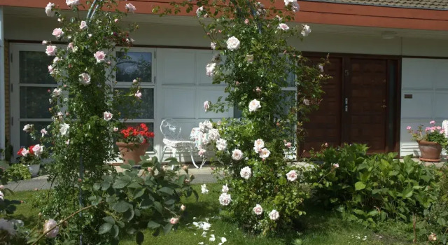 Rose-House Hillerød Bed and Breakfast, Prenota Hotel Hillerod 