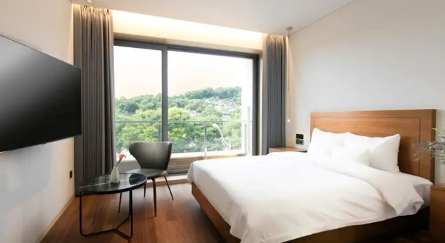 Двухместный номер Deluxe с балконом Daon Hotel