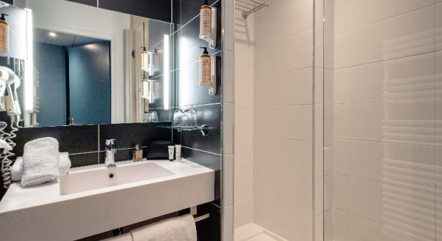 Двухместный номер Standard Mercure Annecy Centre