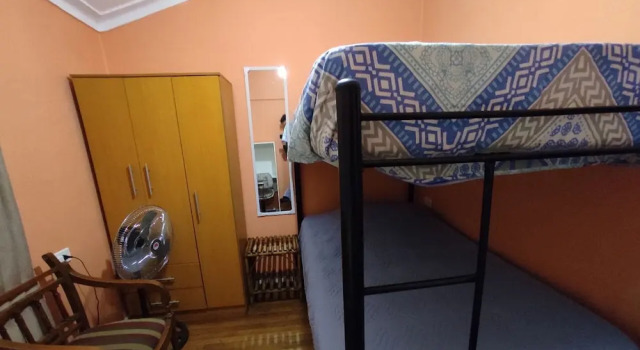 Номер Standard Hotel Gatos de campo tiernos y traviesos