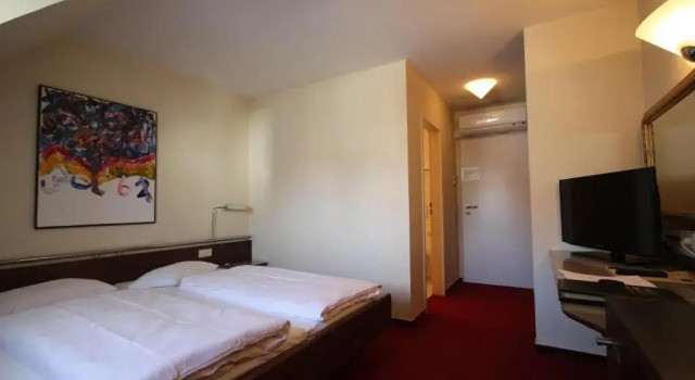 Двухместный номер Economy Schloss Reinach