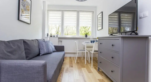 Central Rental - Apartament Kameralny