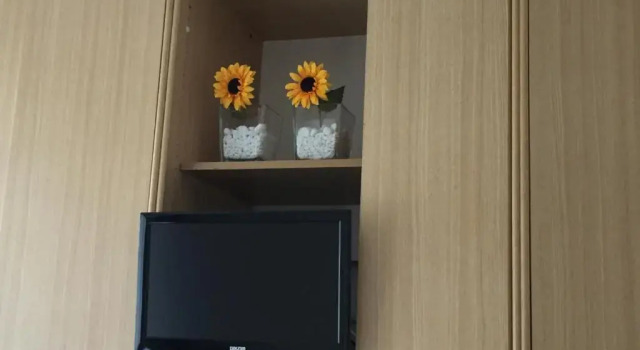 Апартаменты Caccini Apartment