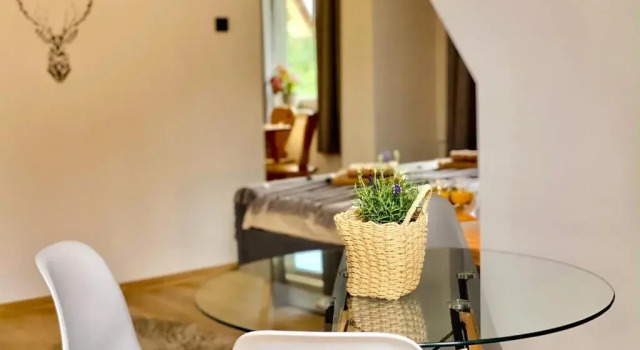 Апартаменты c 1 комнатой Apartamenty Jelonek Zakopane