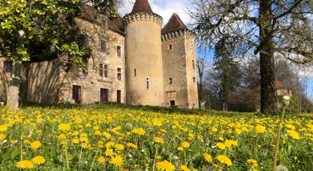 Номер Standard Chateau de Saint Dau