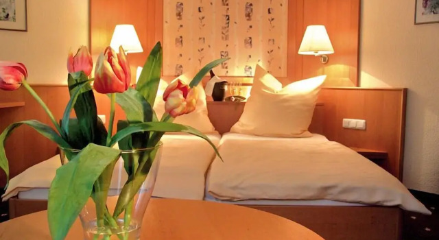 Двухместный номер Standard Hotel Louis Müller