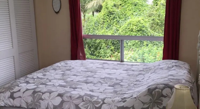 Номер Superior Lava Tree Tropic Inn