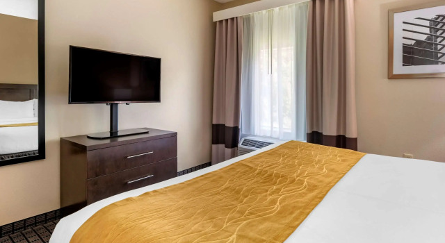 Двухместный люкс Comfort Inn & Suites Cincinnati Uptown Clifton