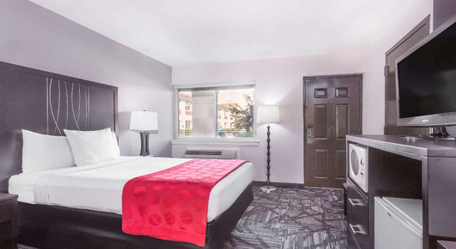 Двухместный номер Standard Ramada by Wyndham Tuscaloosa