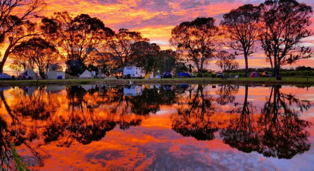 Coonawarra Bush Holiday Park, Buchen Sie Resort Coonawarra South Australia-Südaustralien