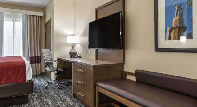 Двухместный люкс Comfort Inn & Suites Downtown near University