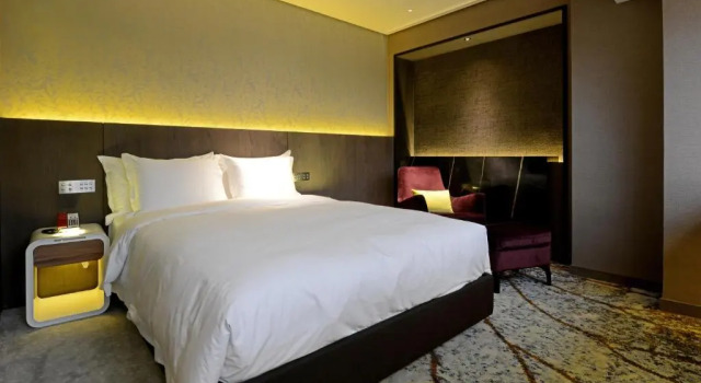 Одноместный номер Deluxe Brother Hotel
