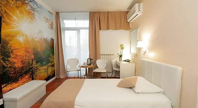 Standard huone Continental Suceava