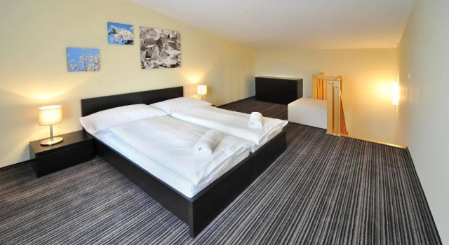 Номер Standard Via Jasna Wellness Apartments