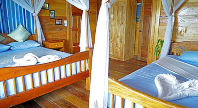 Tree House Bungalows Resort