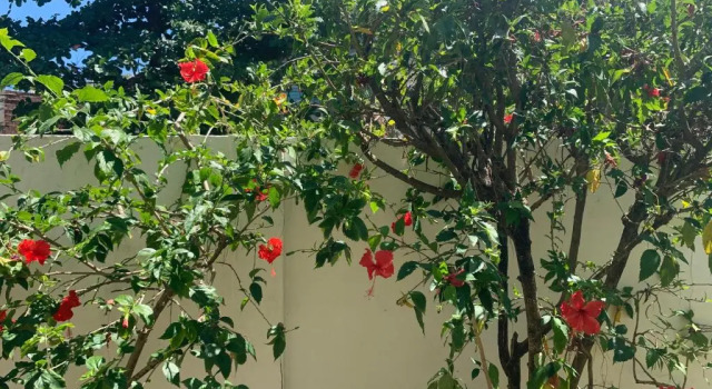 Коттедж Casa a 100 metros do mar- no Centro de Porto de Galinhas