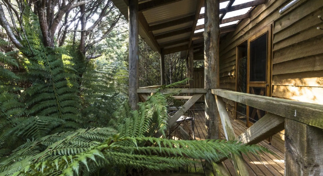 Suite mit Blick Cradle forest inn