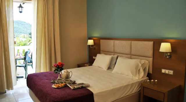 Двухместный номер Standard с балконом Hotel Plessas Palace
