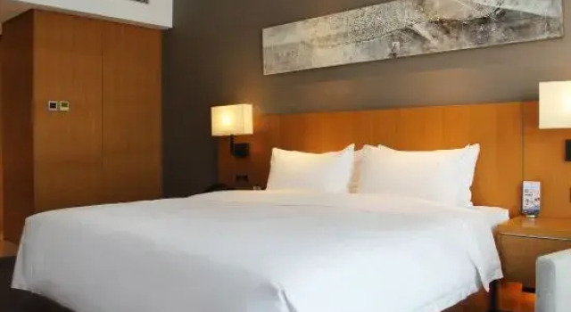 Люкс Business Tian Feng International Hotel