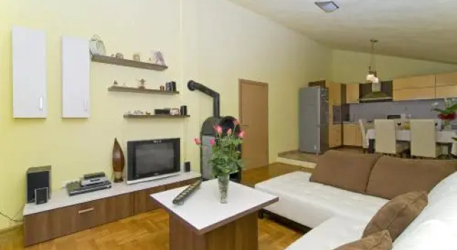 Apartment Mihanovic