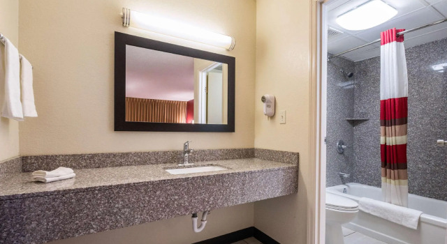 Двухместный номер Deluxe Red Roof Inn Cincinnati Airport Florence/ Erlanger