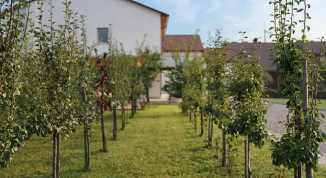 Agriturismo Corte Foscara