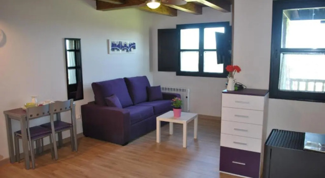 Апартаменты Apartamentos Spa Casco Histórico de Isla