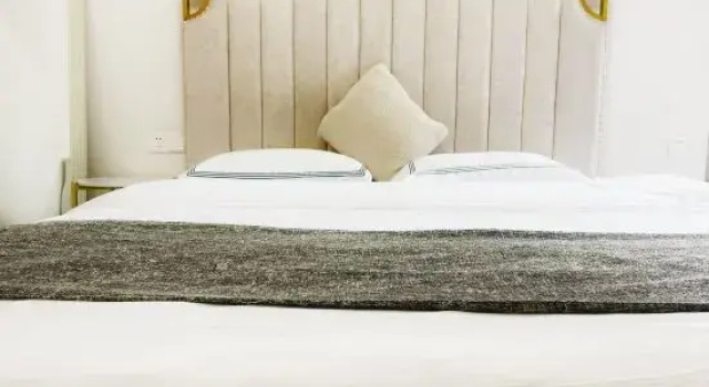Двухместный люкс Roland Ritz Hotel