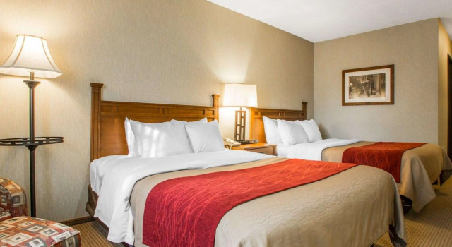 Четырёхместный номер Standard Quality Inn Ironwood