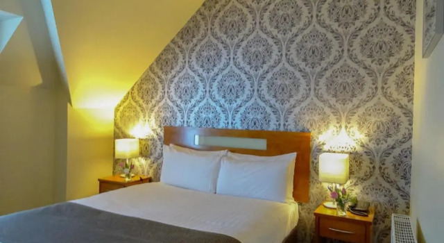 Одноместный номер Standard Raheen Woods Hotel