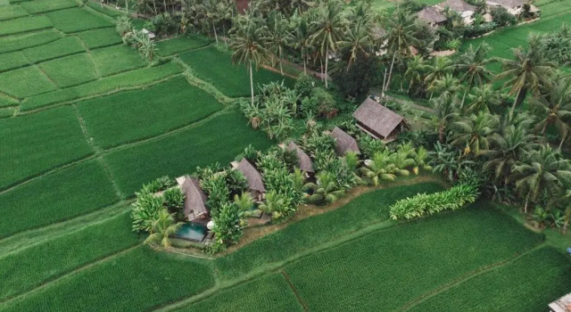 Вилла c 1 комнатой Lasamana Villas Ubud by GenuineHost