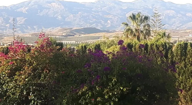 Номер Standard Finca San Mateo