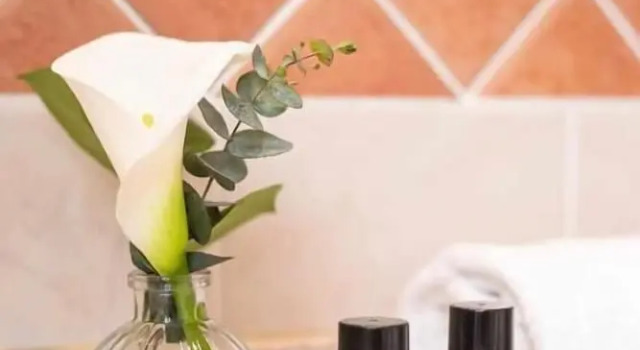 Двухместный номер Economy Hôtel Eiffel Rive Gauche