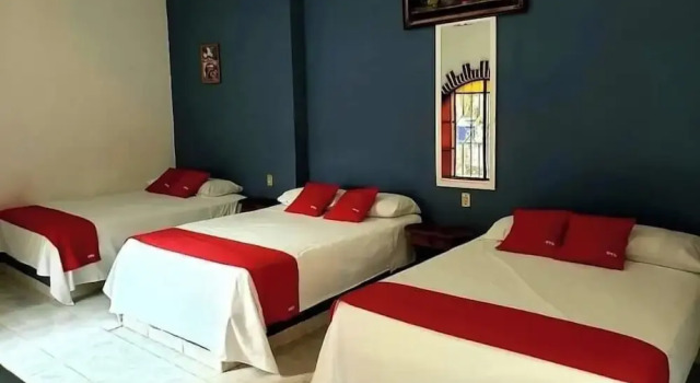 Номер Standard Hotel San Jose Purua