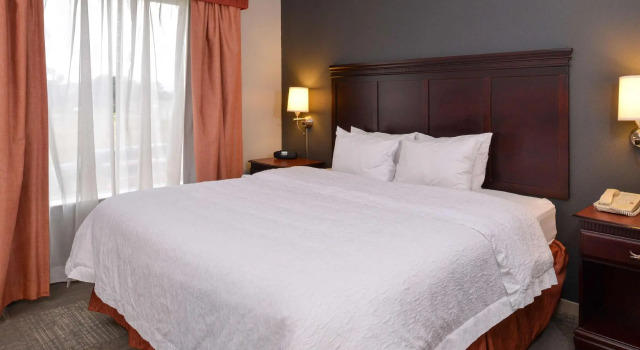 Двухместный номер Standard Hampton Inn & Suites Greenville