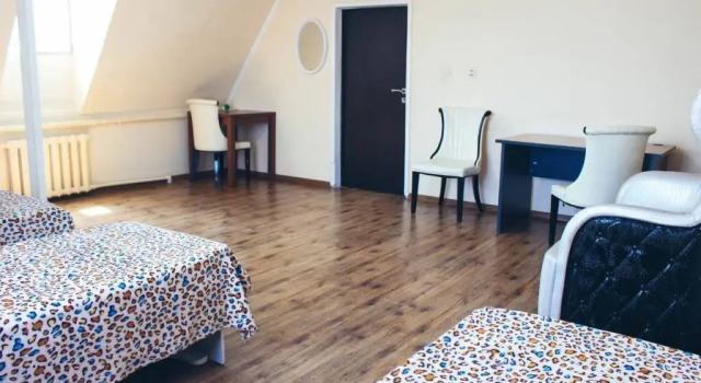 Guesthouse on Zhibek-Zholu 479