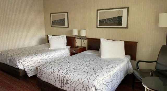 Четырёхместный номер Standard The Black Mountain Inn