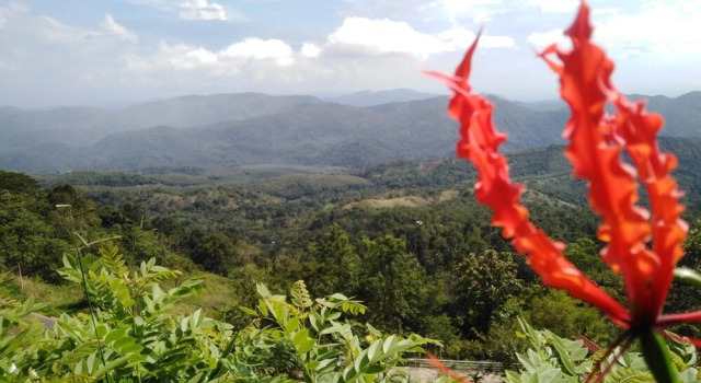 'Aurora Villa'- Haputale, Srilanka