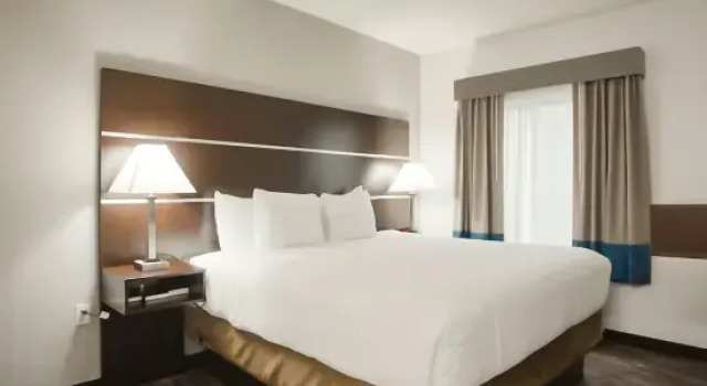 Люкс Business Atrium Hotel and Suites DFW Airport