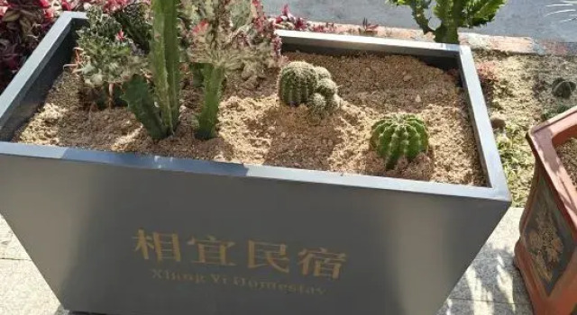 Meizhoudao Xiangyi Homestay, Book Hotel Putian Fujian