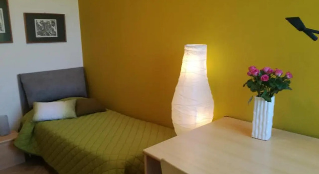 The Orange Groove