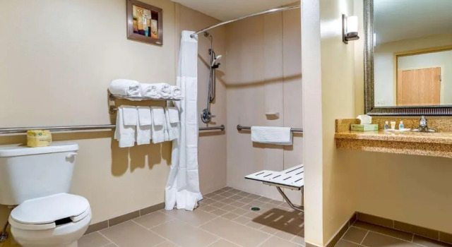Люкс Comfort Suites Gulfport Central