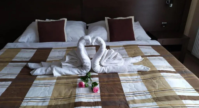 Standart oda Hotel David