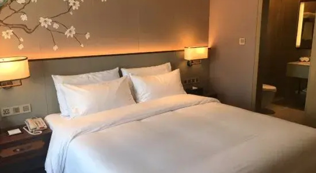 Люкс Deluxe Shenzhen Guest House Xinyuan Building